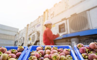 What are the benefits of remote reefer monitoring?