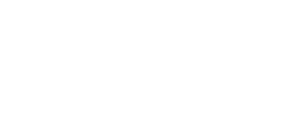 RTE Logo White - png