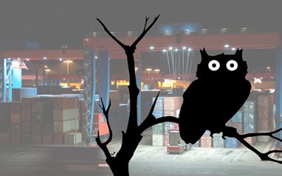 Six things that keep reefer terminal operators up at night.